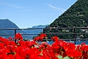 Lago di Como_183